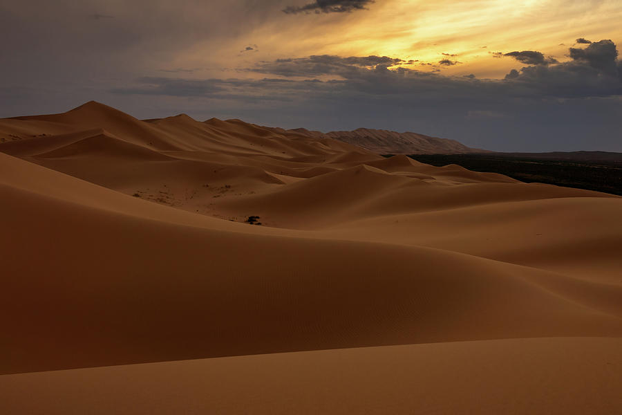 Sand dunes in Gobi Desert at sunset #2 Photograph by Mikhail Kokhanchikov