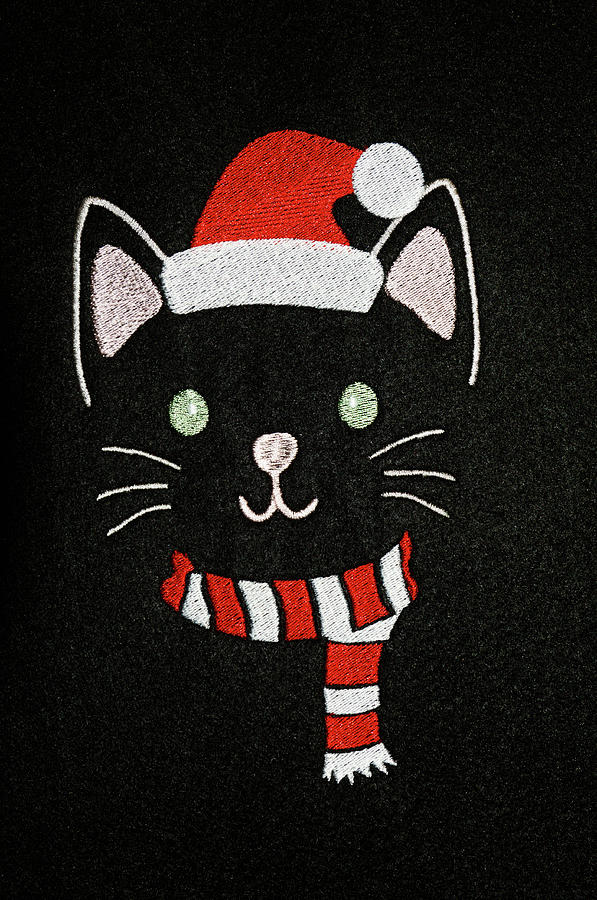 Santa Cat #2 Photograph by Sally Weigand