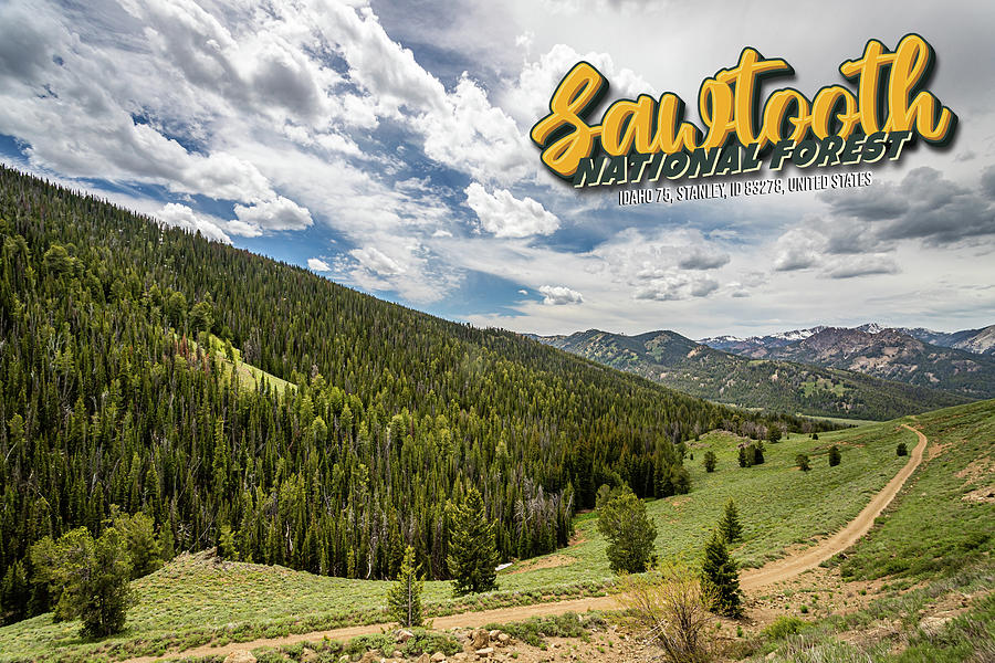 Sawtooth National Forest Photograph by Gestalt Imagery - Fine Art America