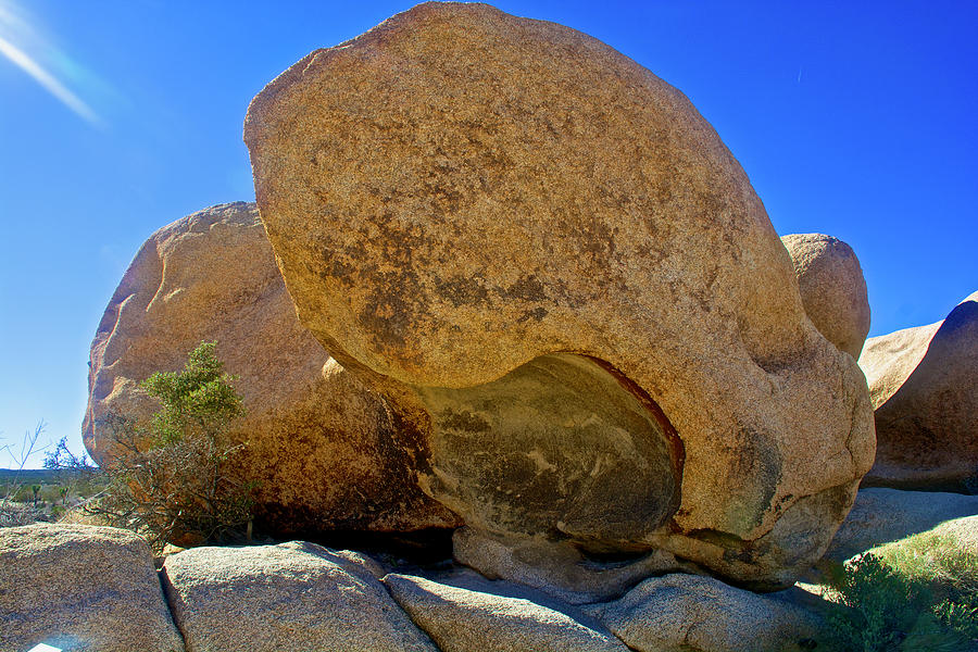 Sculpted Rock on Arch Rock Trail in Joshua Tree National Park ...