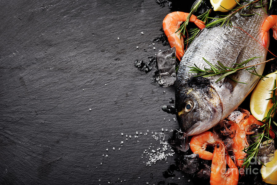 Seafood on black background #2 Photograph by Jelena Jovanovic