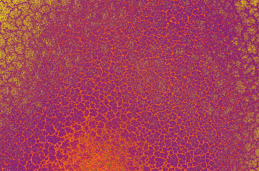 Seamless Crackle Network Pattern Background Photograph