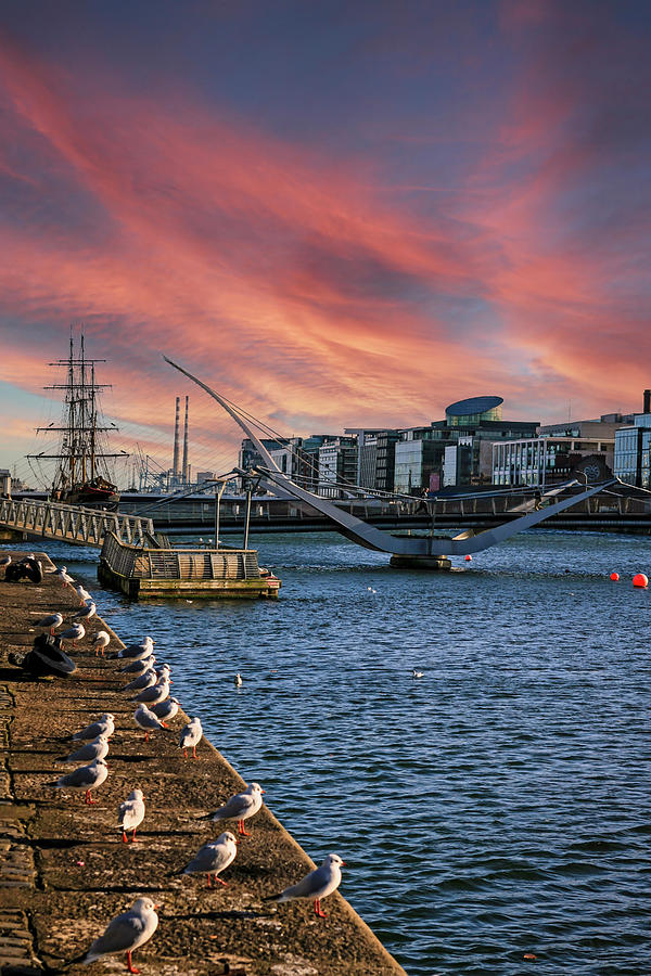 Sean OCasey bridge Dublin #2 Photograph by Chris Smith