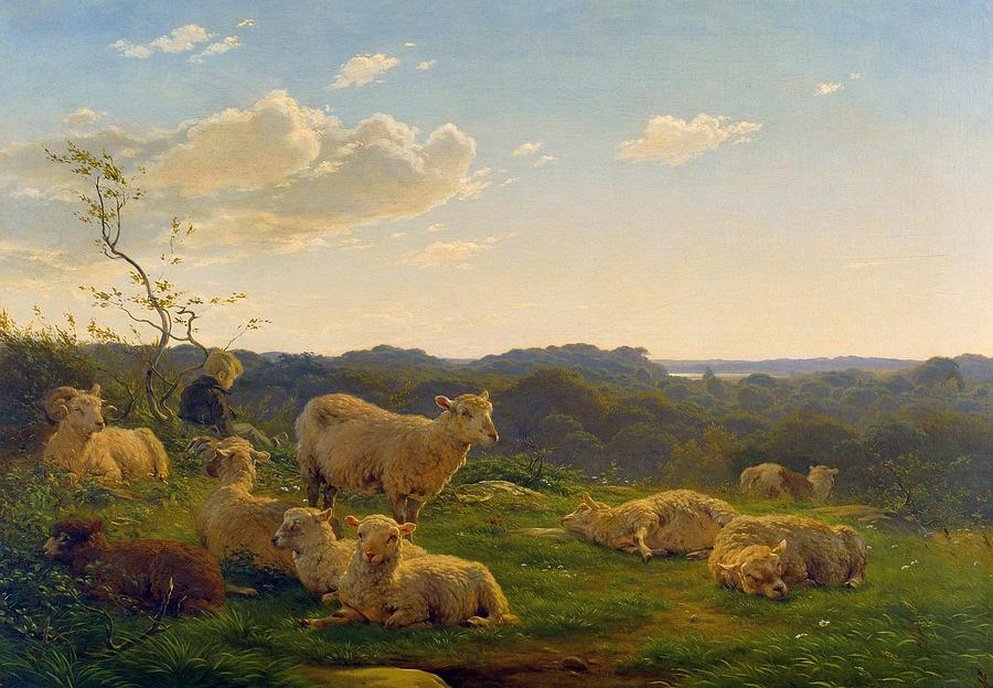 Sheep on a Hill near Skarridso #2 Painting by Carlo Dalgas