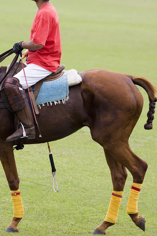 Side profile of a man playing polo #2 Photograph by Glowimages