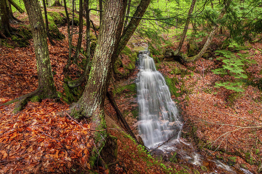 Waterfall Photograph - Silverbell Falls #2 by Tim Trombley