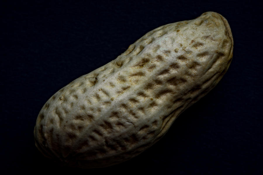Single peanut in dark-side mode #2 Photograph by Shaifulzamri