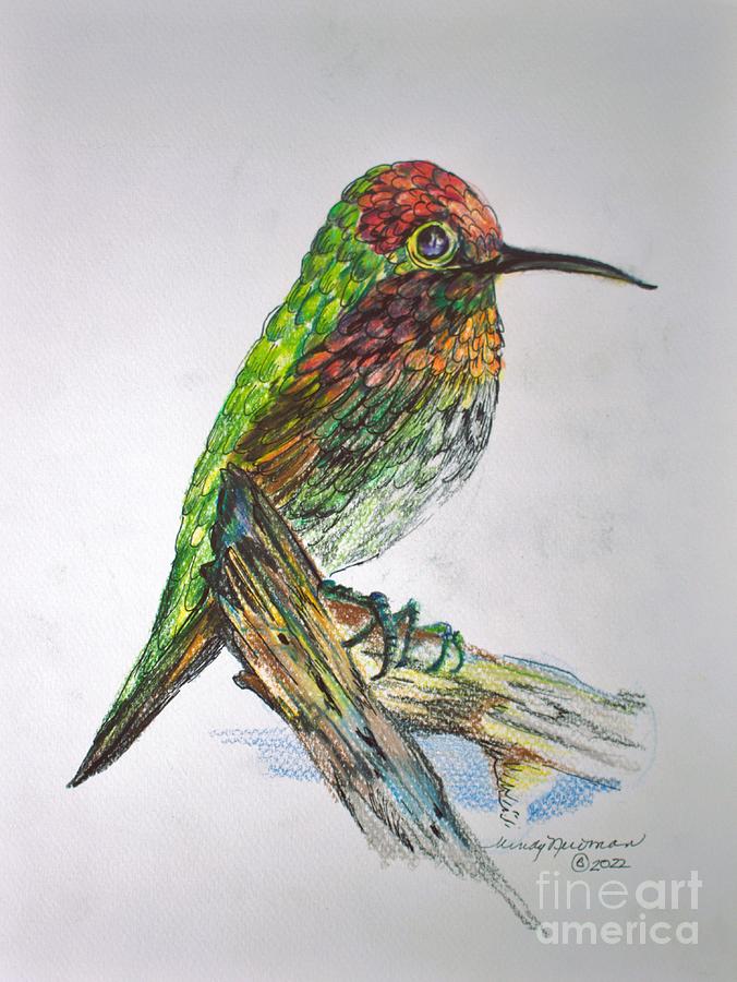 Sitting Pretty #2 Drawing by Mindy Newman
