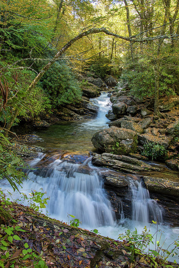 Skinny Dip Falls Photograph by Greg Efner - Fine Art America