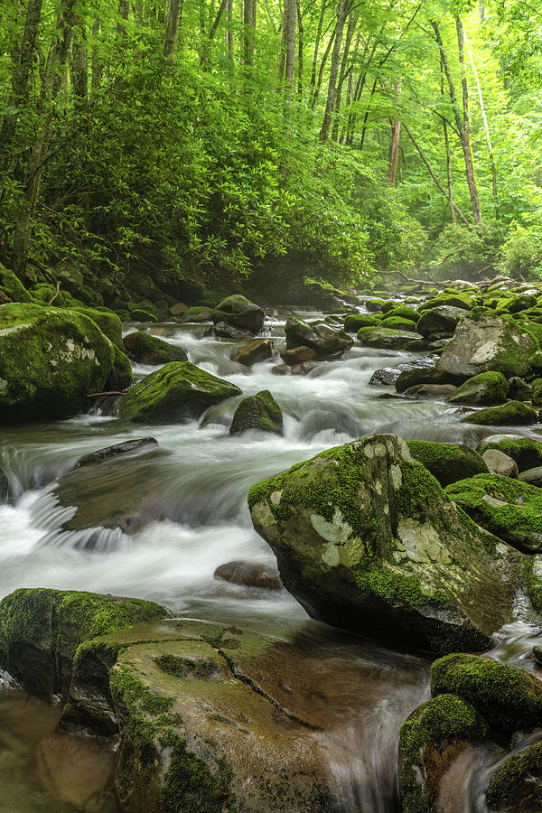 Smoky Mountain Stream #1 Photograph by Eric Albright