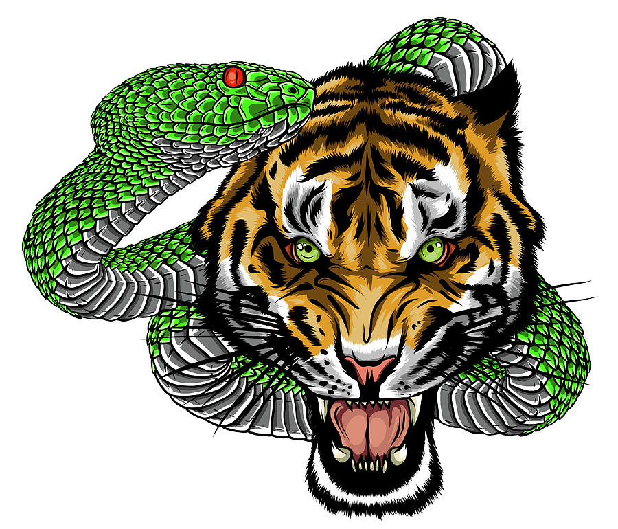 Fighting Tiger and Panther Traditional Tattoo Design Stock Vector -  Illustration of design, predator: 267745704