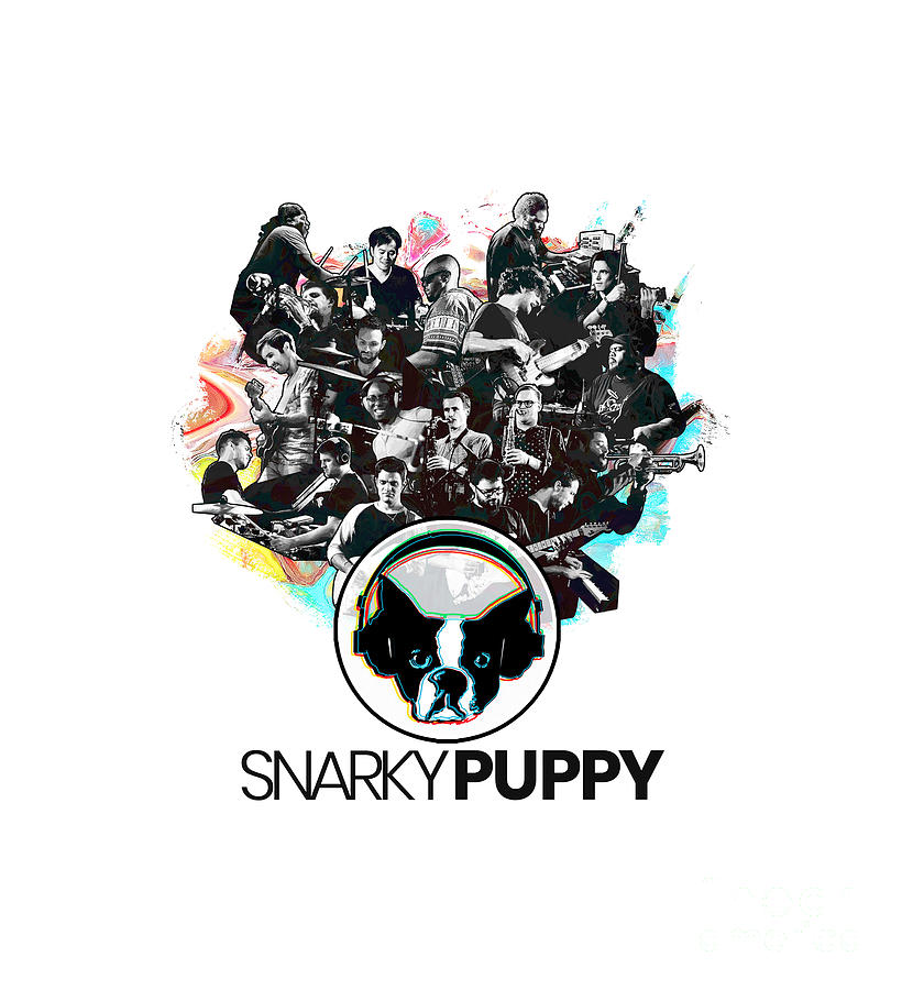 snarky puppy tour lineup 2023