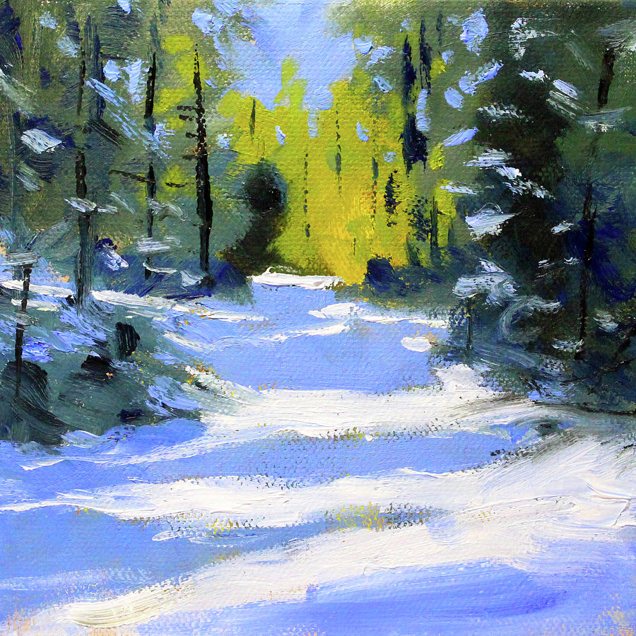 Snow Shadows #2 Painting by Nancy Merkle