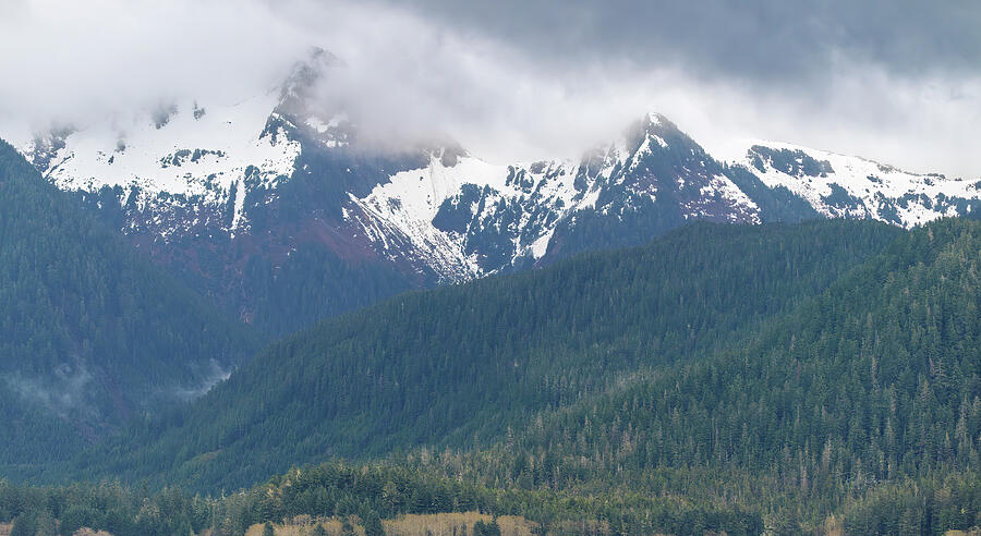 Snowy Peaks Forest View #2 Photograph by Bill Posner Snowy Peaks Forest View #2 Photograph by Bill Posner
