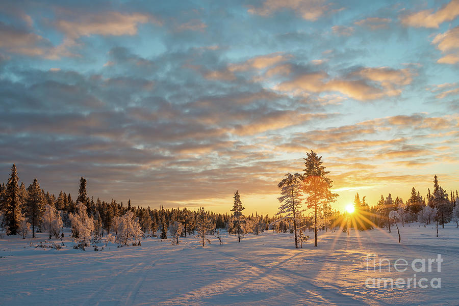 Snowy winter landscape at sunset Photograph by Delphimages Photo Creations