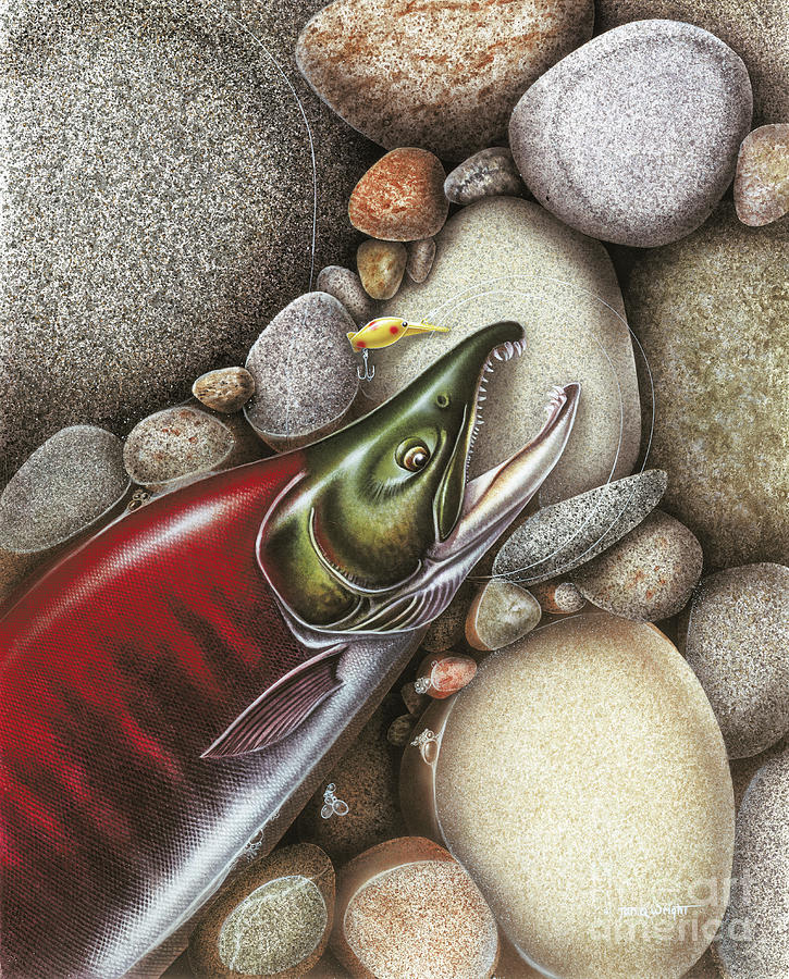 Sockeye Salmon #2 Painting by Jon Q Wright
