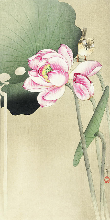 Ohara Koson Painting - Songbird and Lotus #3 by Ohara Koson
