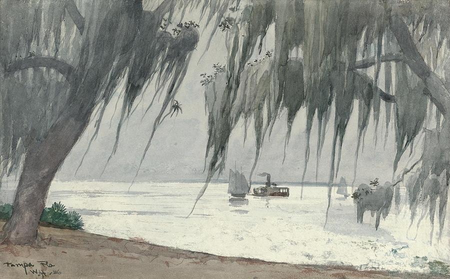 Spanish Moss, Tampa bay, Florida #4 Painting by Winslow Homer