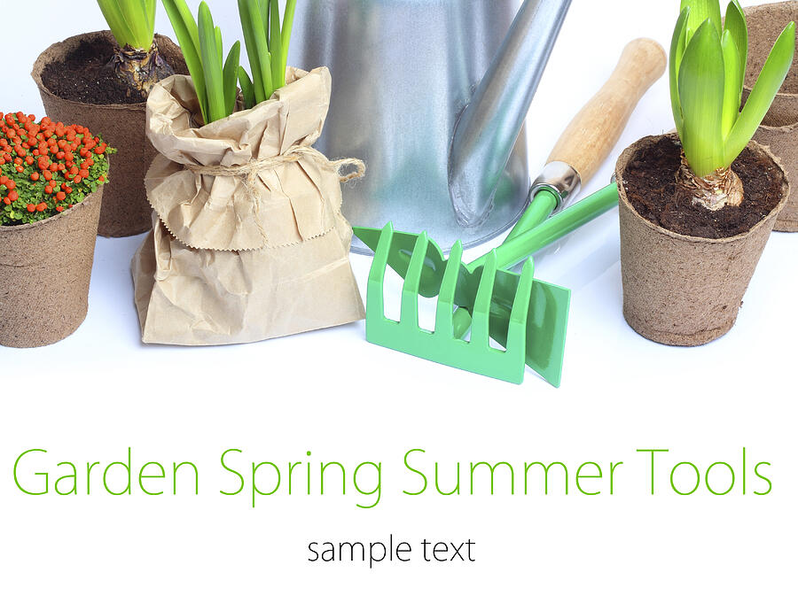 Spring Garden Tools isolated white background #2 Photograph by Strelov