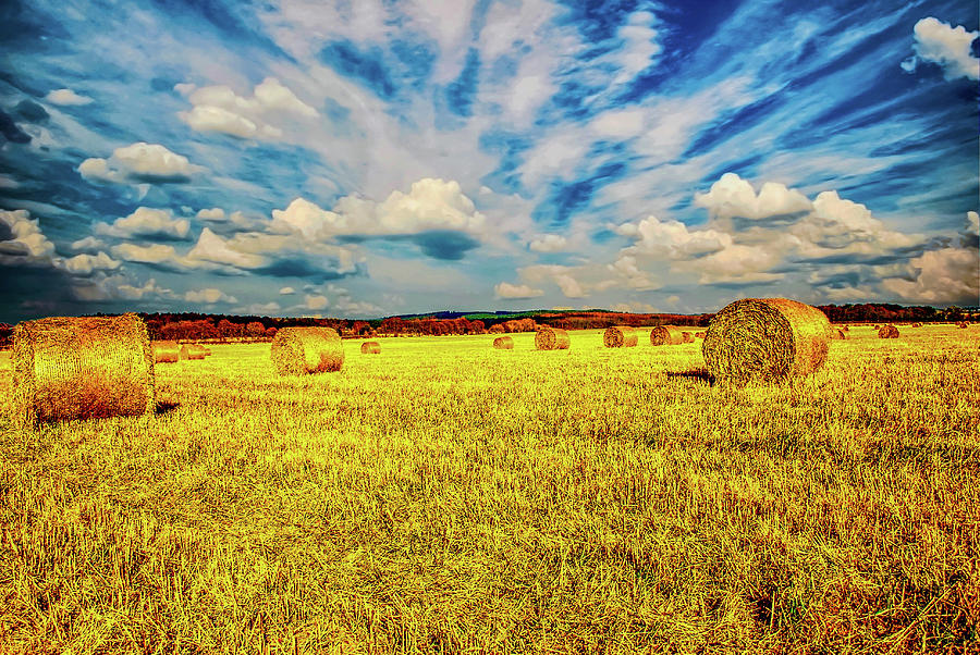 Spring Harvest Photograph by Scott Paul | Fine Art America