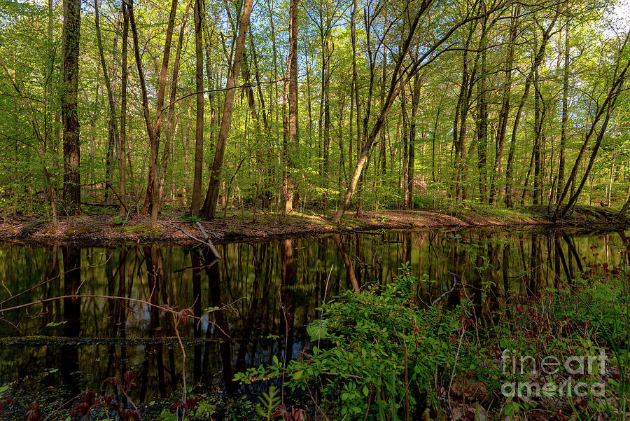 Summer Photograph - Spring in Hudson Valey #4 by Stef Ko