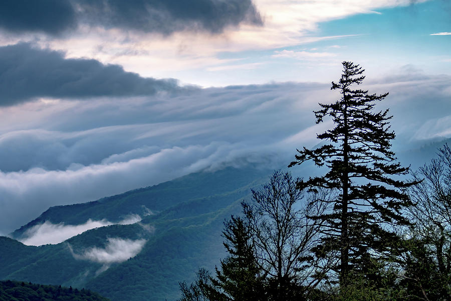 Spring Time On Blue Ridge Parkway Mountains Photograph