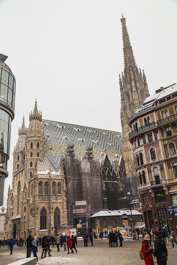 St. Stephens Cathedral (Stephansdom in the Winter) #2 Photograph by Mikeinlondon