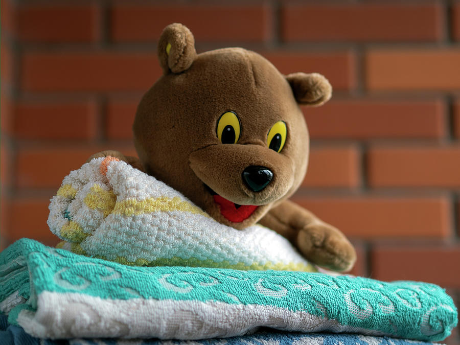 https://images.fineartamerica.com/images/artworkimages/mediumlarge/3/2-stack-of-clean-bath-towels-and-teddy-bear-on-wooden-table-near-r-igor-golovnov.jpg