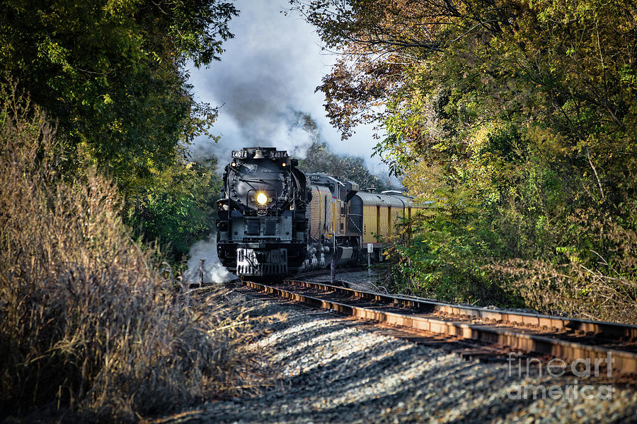 Steam Locomotive UP 4014 Photograph by Lawrence Burry - Fine Art America