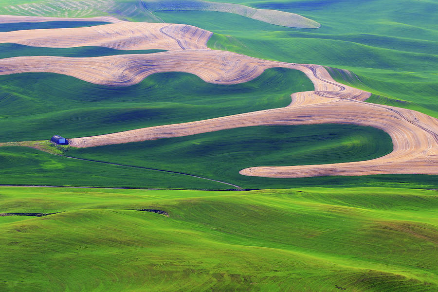 Steptoe Butte #2 Photograph by Shixing Wen