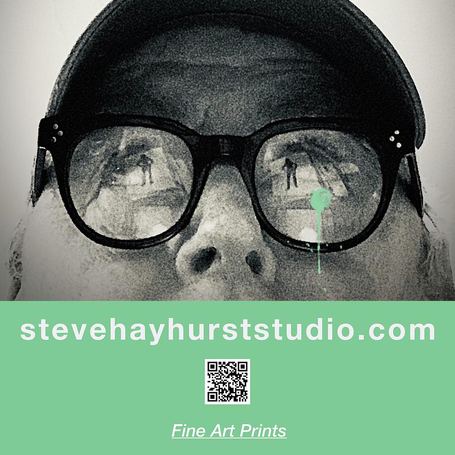 Stevehayhurststudio.com #2 Digital Art by Steve Hayhurst
