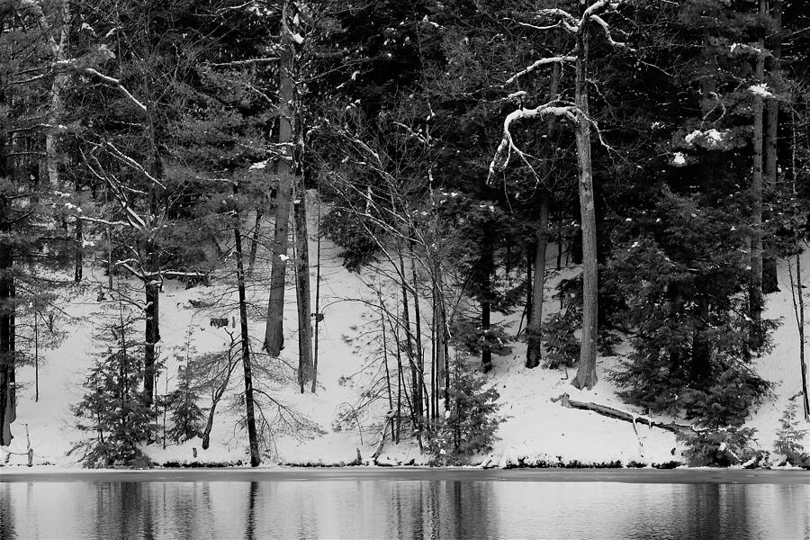 Stewarts Pond Photograph by Dennis Spittler - Fine Art America