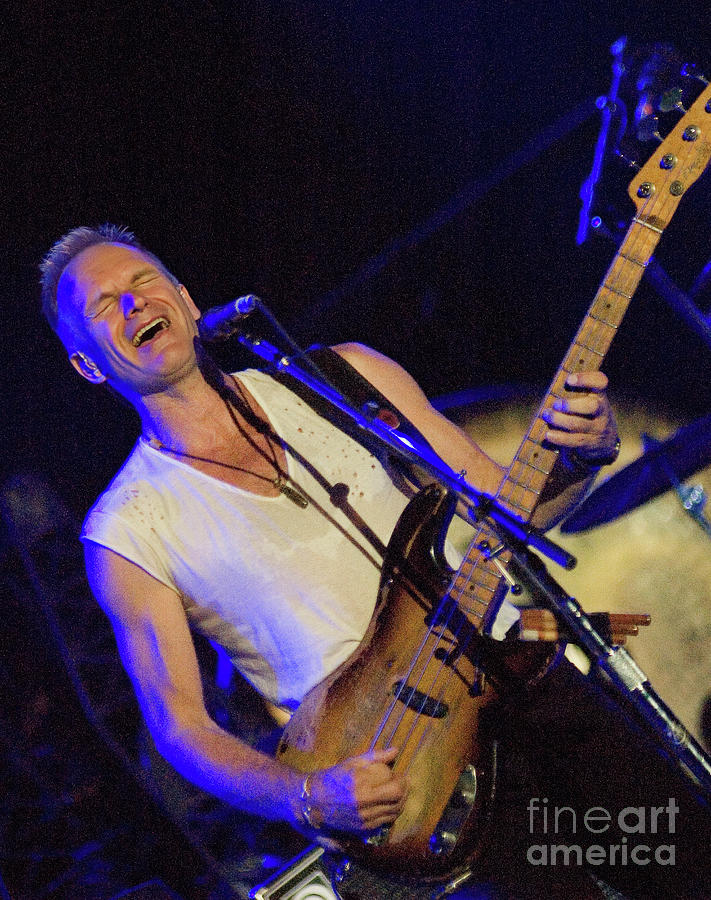 The Police Photograph - Sting Performing with The Police at Bonnaroo Music Festival #2 by David Oppenheimer