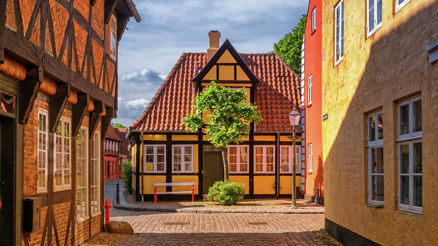 Street and houses in Ribe town, Denmark #2 Photograph by Elenarts - Elena Duvernay photo
