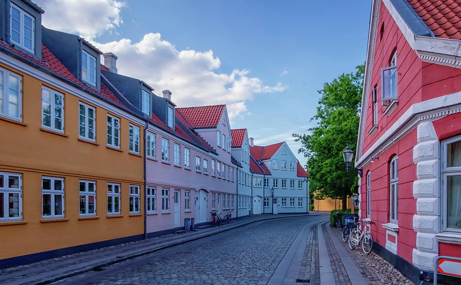 Street in medieval city of Ribe, Denmark #2 Photograph by Elenarts - Elena Duvernay photo