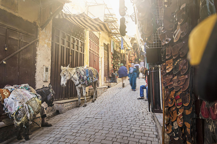 Streets of Fez #2 Photograph by Xavierarnau