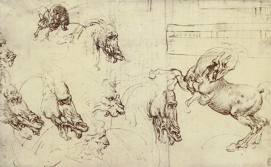 Study Of Horses Drawing by Leonardo da Vinci Fine Art America