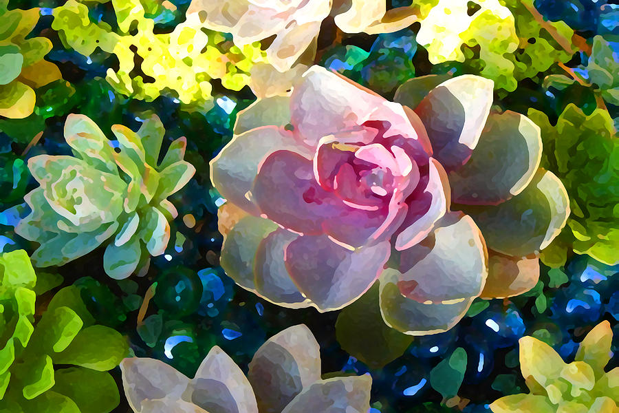Succulent Pond 1 Painting by Amy Vangsgard