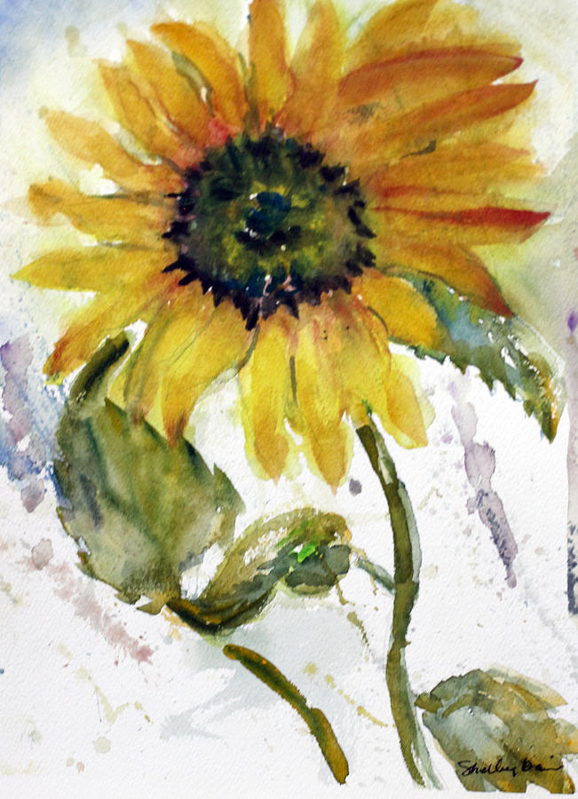 Sunflower #2 Painting by Shelley Bain