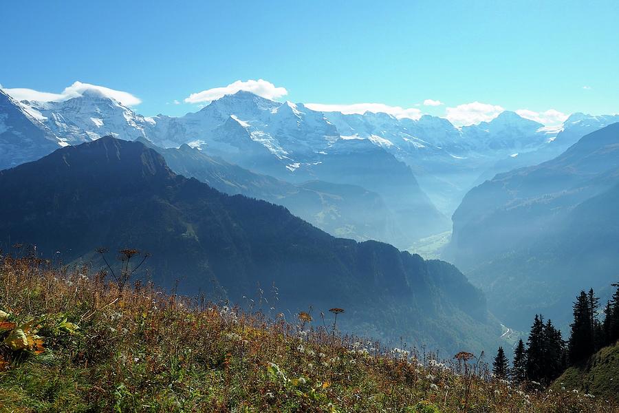 Sunny Schweiz Hikes Photograph by Andrew Webb Curtis - Fine Art America