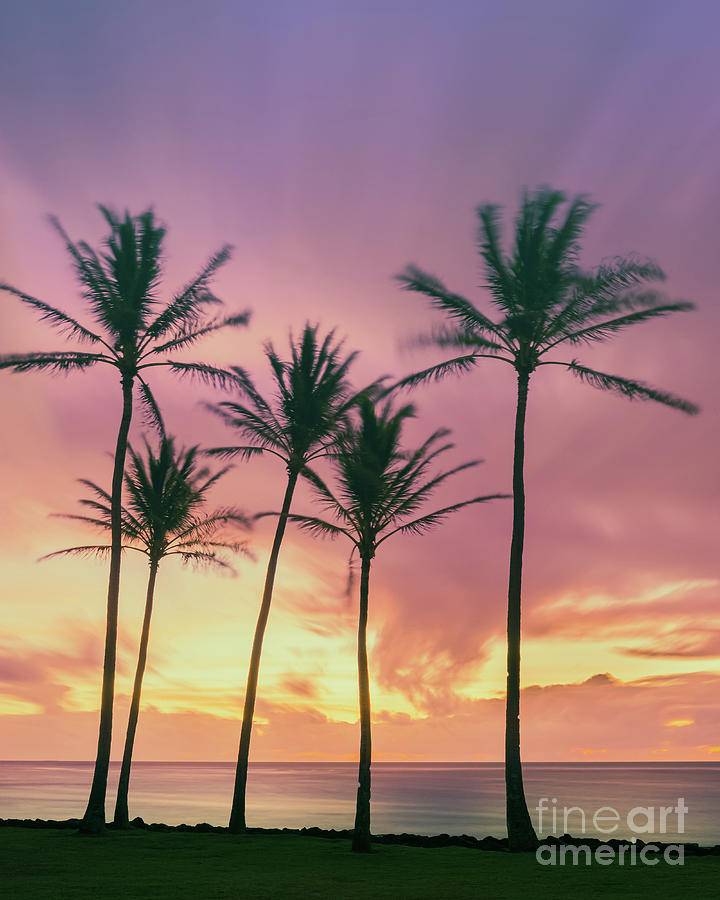 Sunrise Kapaa Beach Park - Kauai Photograph