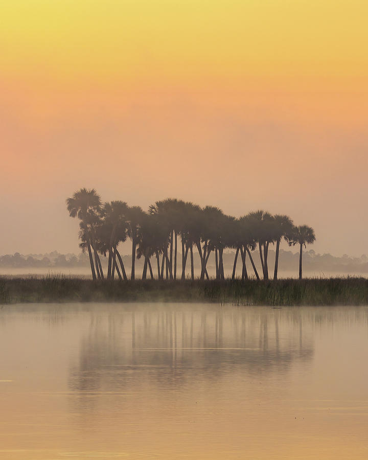 Sunrise Mist at Lake #2 Photograph by Stefan Mazzola
