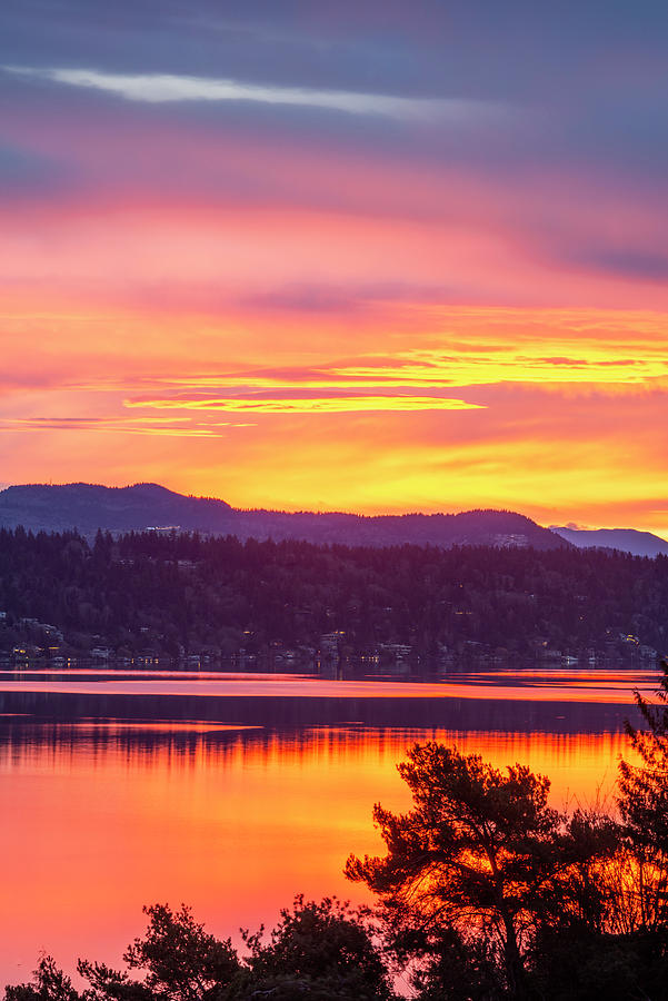 Sunrise over Lake Washington #2 Digital Art by Michael Lee