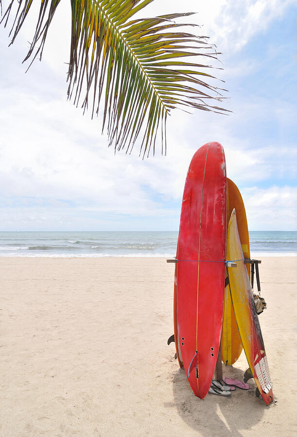 Surfboards At Ocean Beach #2 Photograph by Arand