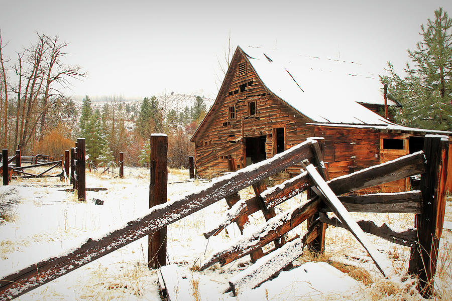 Barn Photograph - Surviving the Elements by Donna Kennedy