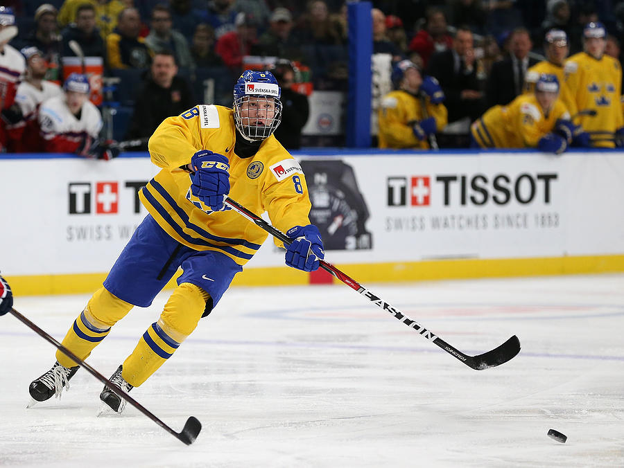 Sweden v Czech Republic - 2018 IIHF World Junior Championship #2 Photograph by Kevin Hoffman