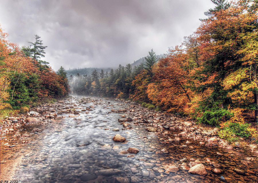 Swift River Autumn #3 Photograph by Richard Bean