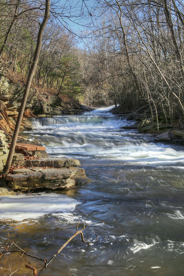 Tanyard Creek Park Photograph by Michael Munster | Pixels