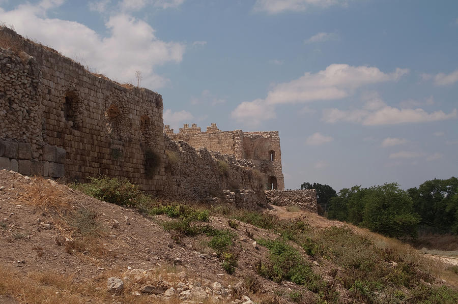 Tel Afek Photograph by Adam Gladstone - Fine Art America