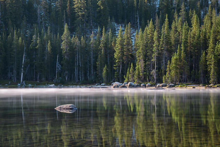 Yosemite National Park Photograph - Tenaya Lake Morning #1 by Alexander Kunz